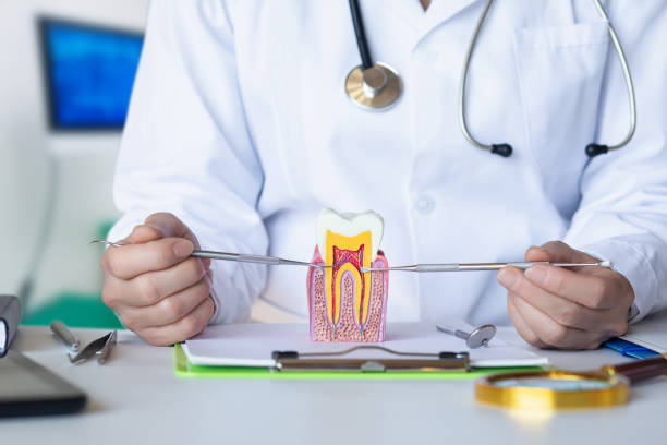 Best Emergency Tooth Extraction  in Barron, WI